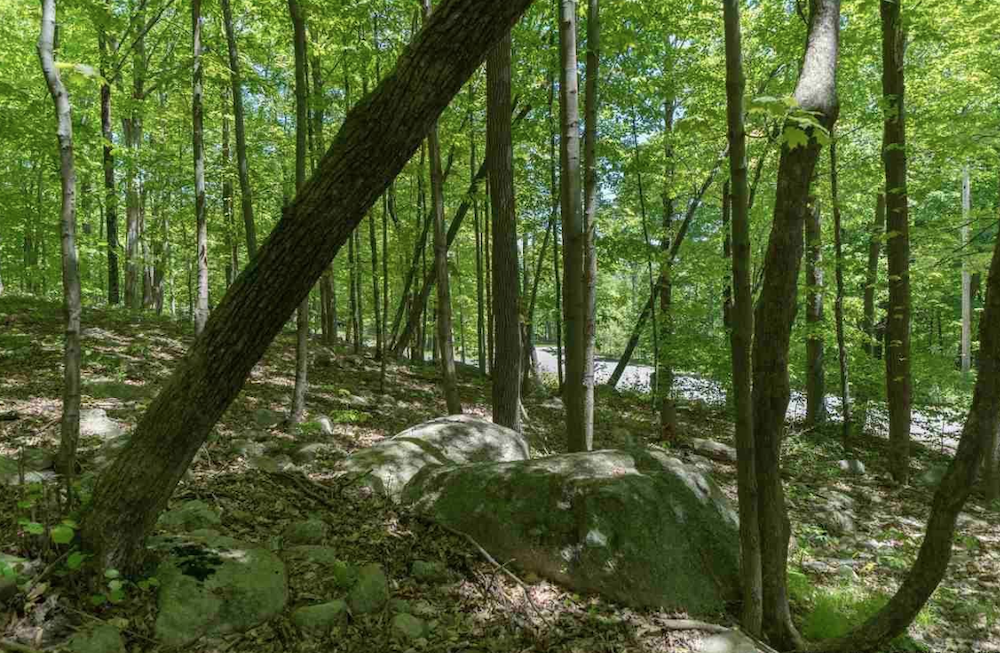 Land for Sale Catskill Mountains Halter Associates Realty
