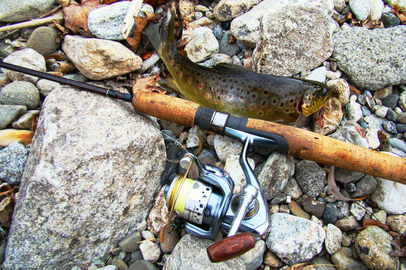 Trout fishing in Phoenicia, NY